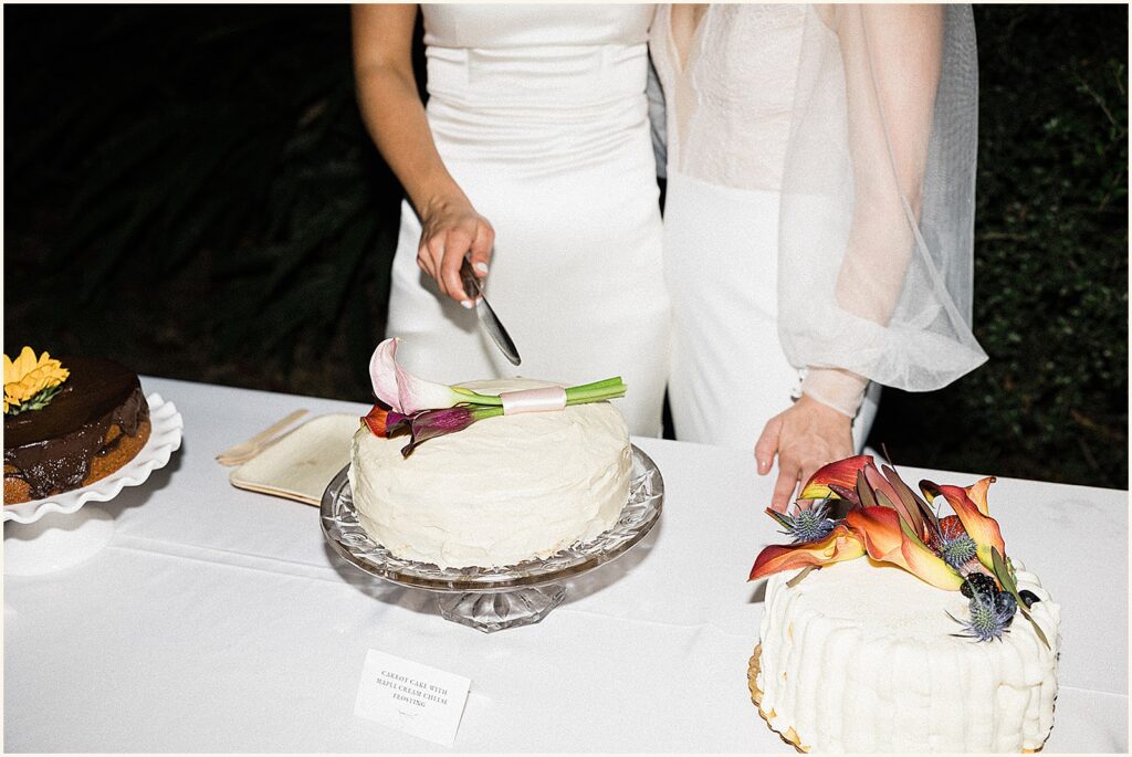 Two brides cut a decorative cake.